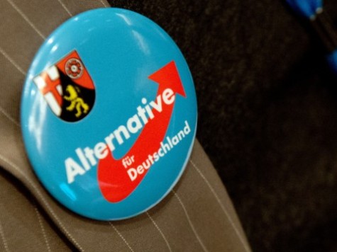 German's Eurosceptic Party Polling Third Nationally for the First Time