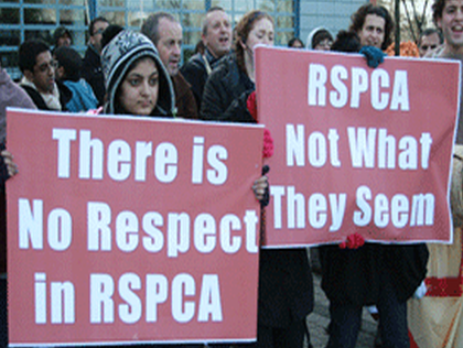 Report: RSPCA Is Most Complained About Charity