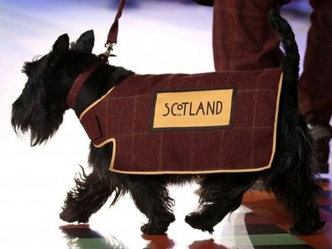 Commonwealth Games' Scottie Dogs 'Disrespectful to Muslims'