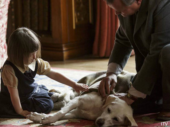 ITV Denies Killing Off Downton Abbey Dog over 'Isis' Name