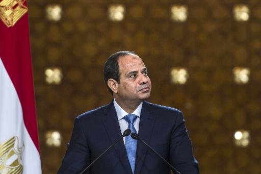 Egypt Could Send Forces to Stabilise Future Palestine State: Sisi