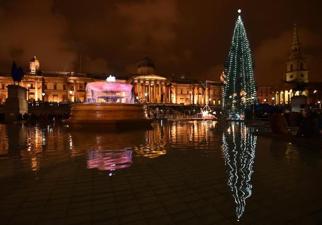 Giant Christmas Tree Illuminated in Trafalgar Square