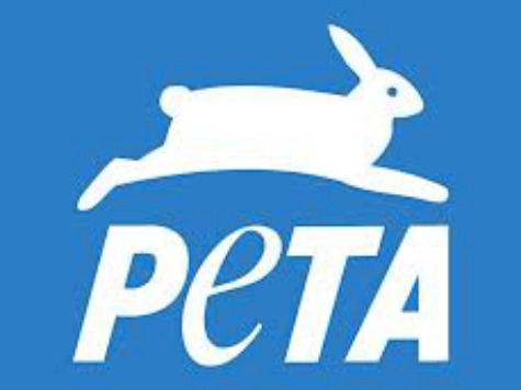 NFL Players Strip for PETA Campaign