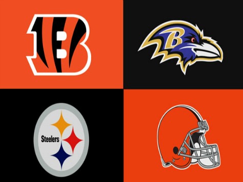 NFL Draft Preview: AFC North