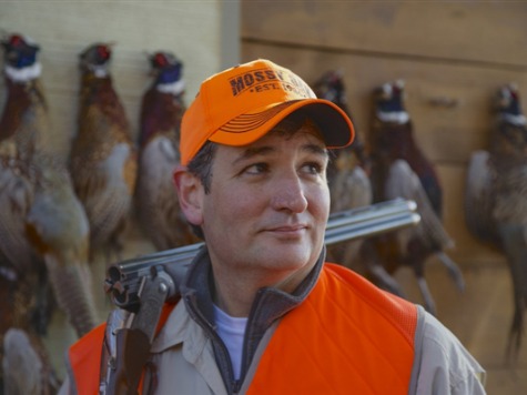 Cruz Says Sebelius Should 'Absolutely' Step Down Before Iowa Pheasant Hunt