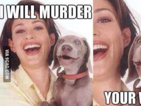 Revealed: Jonathan Martin's 'Murder' Text to Incognito Was Internet Meme with Puppy