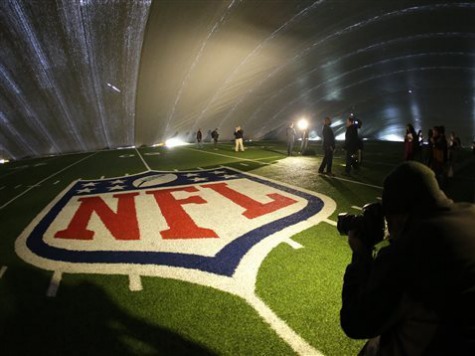 Super Bowl Stadium Sued over Turf