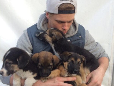 Sochi 2014: American Skier Gus Kenworthy Adopts Four Stray Puppies Before Winning Silver