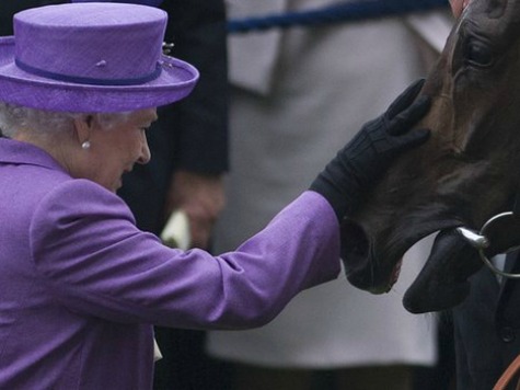 The Queen's Horse Tests Positive for Morphine