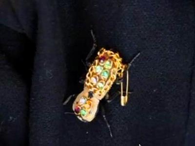 New Fashion Statement? Live Beetles Covered In Jewelry