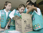 Girl Scouts Chase Thieves, Jump On Getaway Car