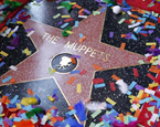 Muppets Get Star On Hollywood Walk of Fame