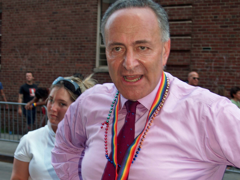 AZ State Senator Slams Schumer: He's 'Chicken'