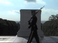 WATCH: Citizen Journalist Makes Moving Memorial Day Tribute