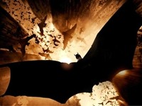 Shooting Slows 'Dark Knight' Box Office Numbers