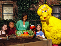 Obama Campaign: 'Big Bird Is Important'