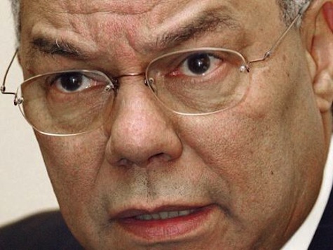 Powell: GOP 'Looks Down on Minorities'