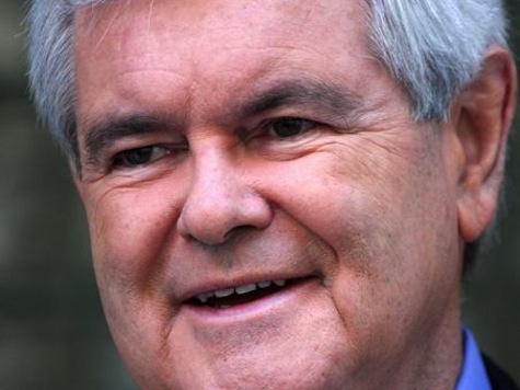 Newt Gingrich: 'If Gun Control Works, Chicago Ought To Be Safe'