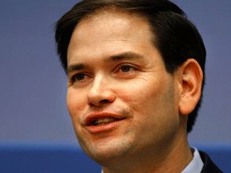 Rubio: Obama 'Doesn't Have The Guts' To Admit He's Against 2nd Amendment