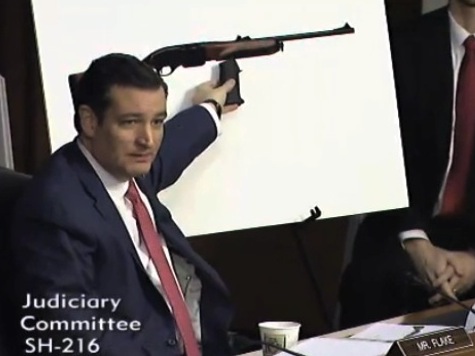Senator Cruz: 'Assault Weapons' Ban Targets Guns For Looking 'Scary,' Not Functionality