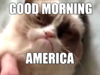 'Good Morning America' Interviews 'Grumpy Cat'