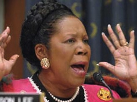 Sheila Jackson Lee: Healthcare, Education Should Be 'Constitutional Right'