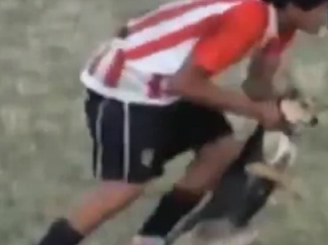 Soccer Player Gets Red Card for Hurting Dog