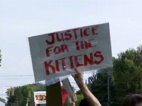 Ohio Humane Officer Under Fire for Shooting Five Kittens