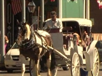 Animal Rights Group Looks to Ban Horse Carriage Rides