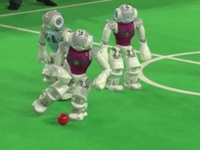 Raw: Robot Soccer in the Netherlands