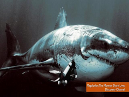 Shark Week Fans Angry Over Fake 'Megalodon' Documentary