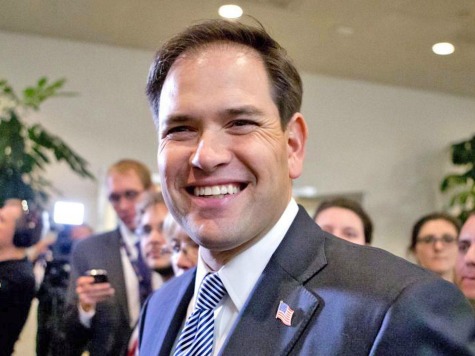 Rubio Meets with Business Leaders on Obamacare