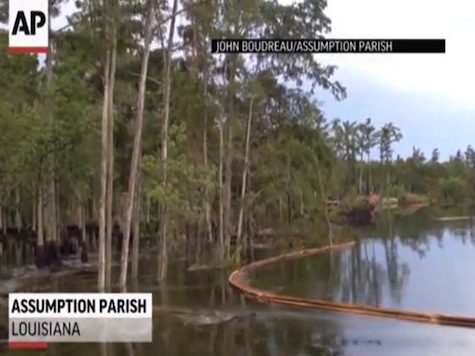 Raw: Louisiana Sinkhole Swallows Giant Trees