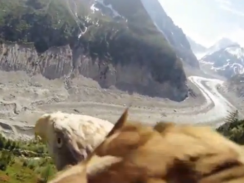 WATCH: Camera On Back Of Eagle Shows Incredible View In-Flight
