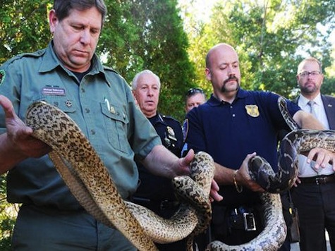 850 Snakes Found In Home Of Animal Control Officer