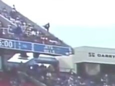 Footage of Fan Falling From Upper Deck of Stadium