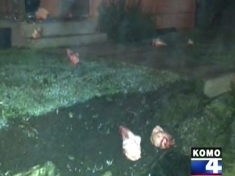 A Dozen Bloody Severed Lambs Heads Left on Family's Front Yard
