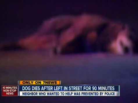 Police Prevent Neighbor from Saving Injured Dog