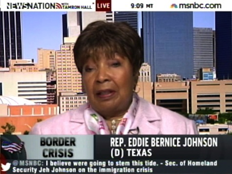 Dem Rep: What Would be the Point of an Obama Border Visit?
