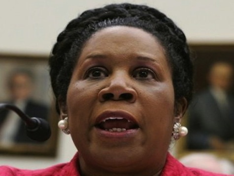 Sheila Jackson Lee: Obama Pushed To Amnesty By GOP 'Sprinkling Water on a Bleeding Sore'
