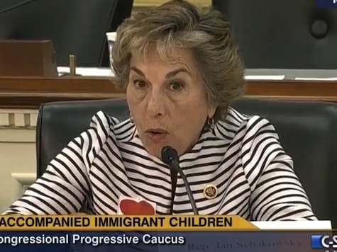 Dem Rep Accuses Border Patrol of Deliberately Torturing Unaccompanied Children