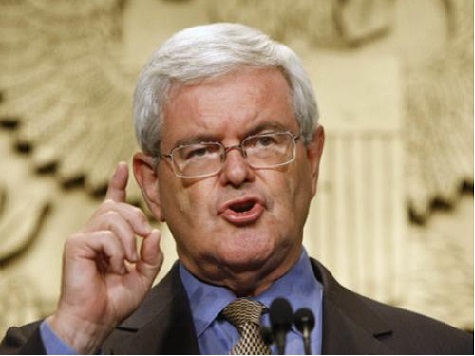 Newt Gingrich: Make Midterms Referendum on Immigration