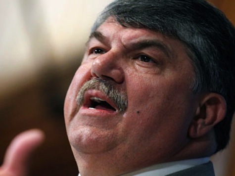 Trumka: Obama's 'Bold' Amnesty Will Win Midterms for Dems