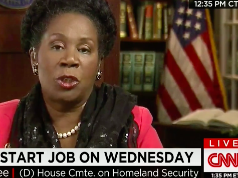 Sheila Jackson Lee: Obama a 'Perfectionist,' Cruz Needs to 'Read a Little More'