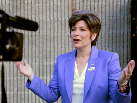 Ernst: No Exec Amnesty, Don't Double Guest Workers