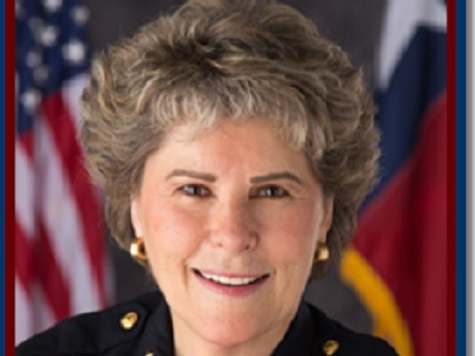 TX Sheriff: US Neglecting ‘Criminal Factor’ on Border