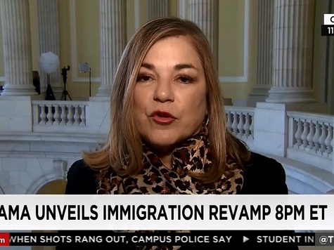 Dem Rep: GOP Only Won Where ‘There’s Not a Large Amount’ of Immigrants