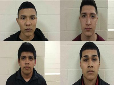 Transnational Auto-Theft Ring Busted in South Texas Border Town
