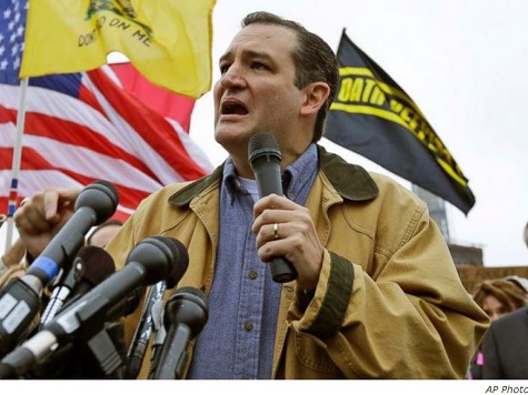 Ted Cruz, Tea Party Dominate Texas Republican Primary Politics