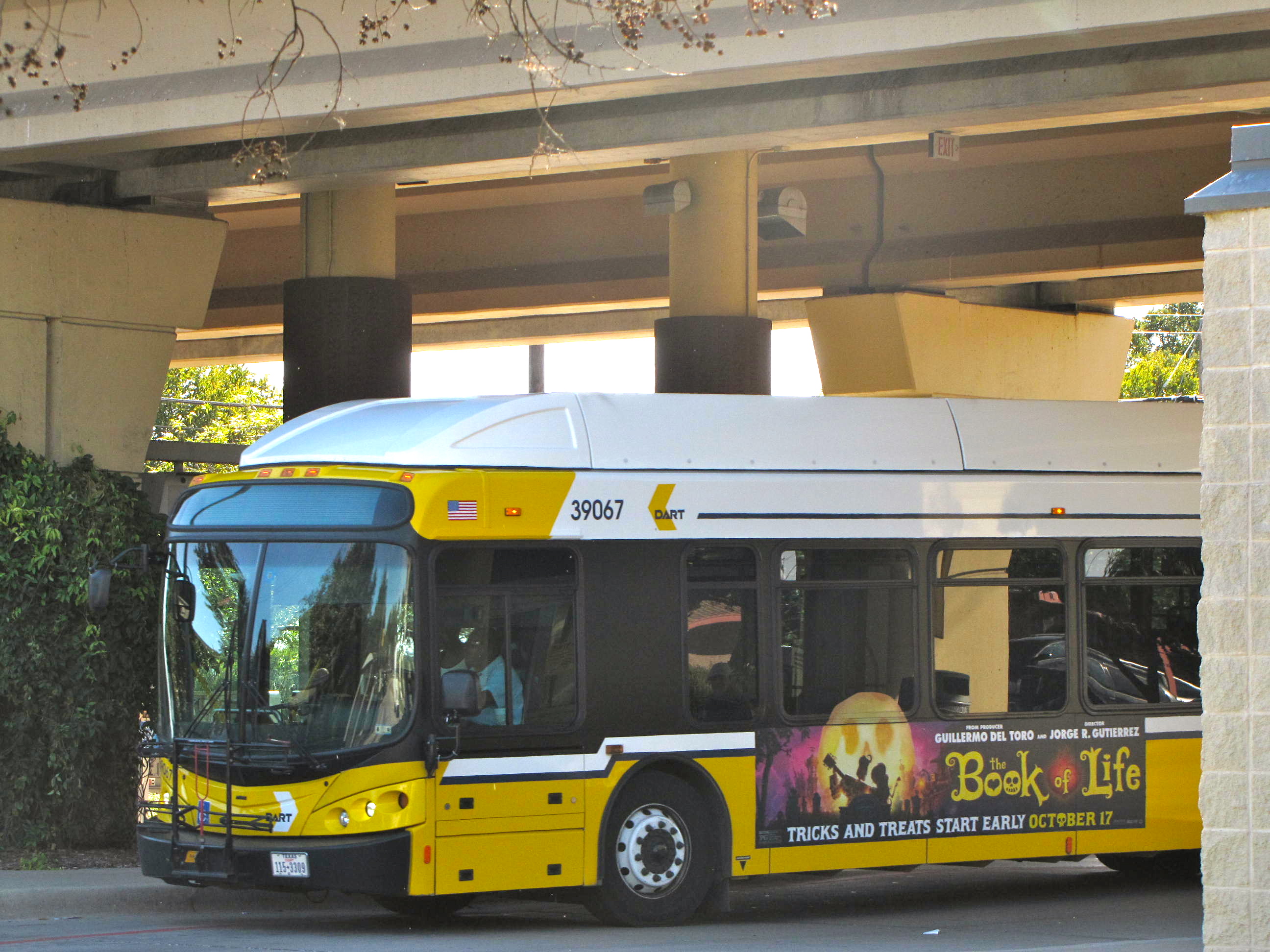 Dallas Public Transportation Employees Sent Home After Potential Ebola Exposure